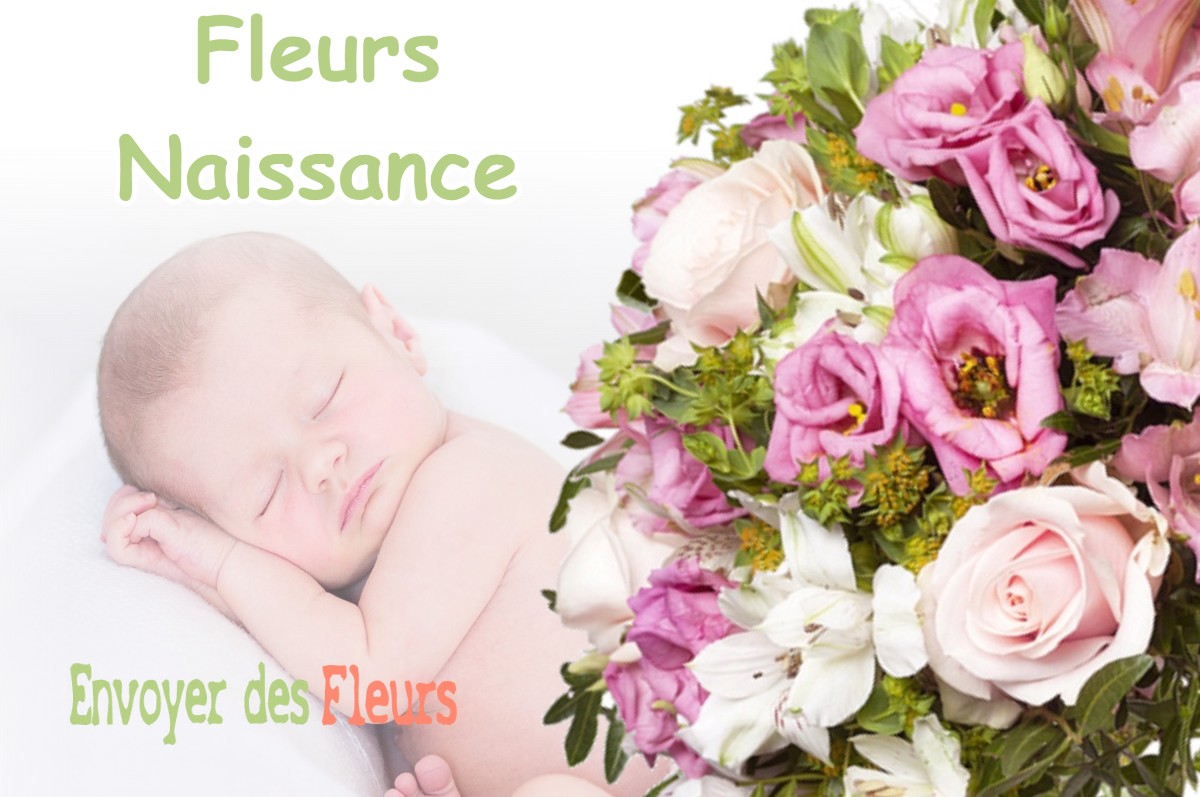 lIVRAISON FLEURS NAISSANCE à SEGREVILLE