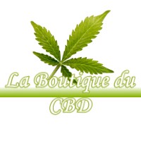 LA BOUTIQUE DU CBD SEGREVILLE 